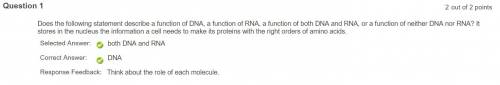 Does the following statement describe a function of dna, a function of rna, a function of both dna a