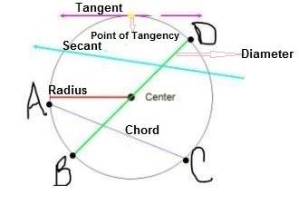 Using your knowledge of circles, label the following on the given diagram:  chord, tangent, radius,