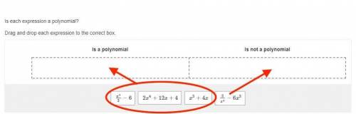 Is each expression a polynomial?  drag and drop each expression to the correct box.