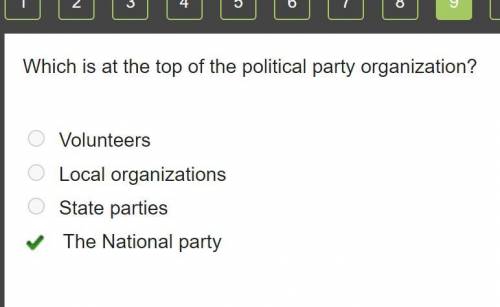 Which is at the top of the political party organization?