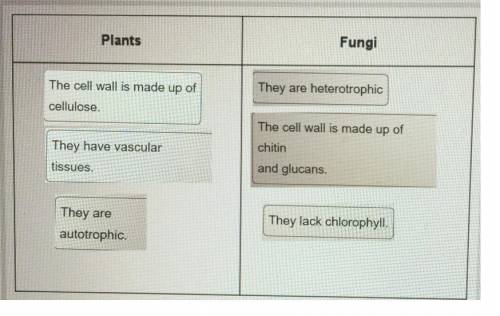 Determine whether each characteristic is exhibited by plants or fungi.