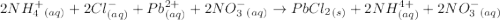 2NH_4^+_{(aq)}+2Cl^-_{(aq)}+Pb^{2+}_{(aq)}+2NO_3^-_{(aq)}\rightarrow PbCl_2_{(s)}+2NH^{4+}_{(aq)}+2NO_3^-_{(aq)}