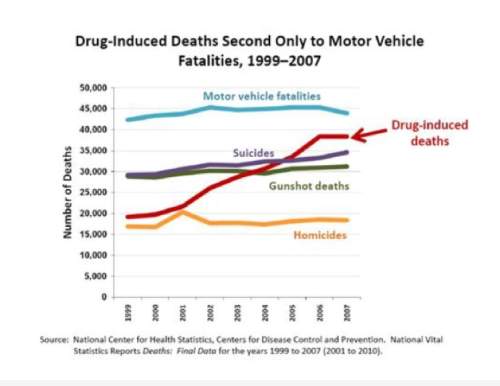 According to the graph, drug-induced deaths in america in 1999 were at nearly 20,000. by 2007, they