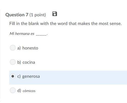 Correct answer only ! fill in the blank with the word that makes the most sense. mi hermana es