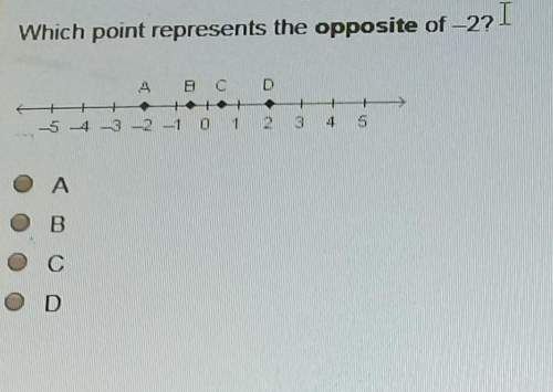 Which point represents the opposite of -2?