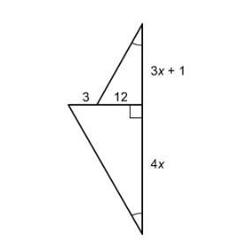 (50 ) the two triangles are similar. what is the value of x?