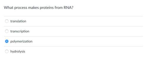 What process makes proteins from rna?