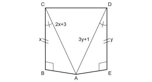 If your right i'll give you the&nbsp; brainliest! find the values of x and y that make these triangl