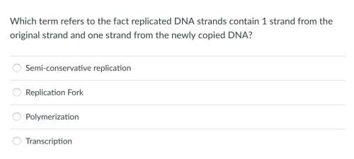 Which term refers to the fact replicated dna strands contain 1 strand from the original strand and o