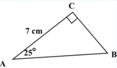 How would you set up to solve for angle b using trigonometry?
