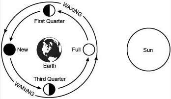 Susan made the following diagram shown to represent some phases of the moon as seen from earth. why
