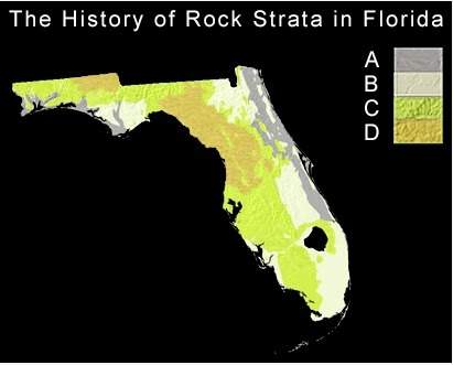 In the florida map shown below, use the principal of superposition to determine which rocks are olde