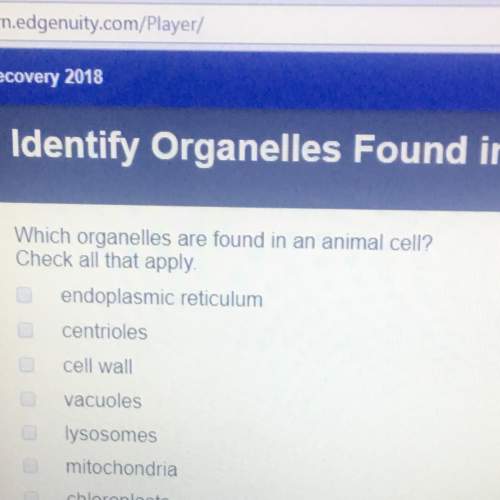 Which organelles are found in animal cell ?