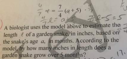 Why is the answer 8.75? plz explain.