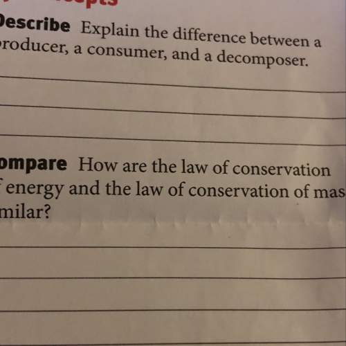 How are the law of conservation of energy and the law of conservation of mass similar