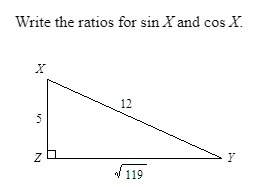 Write the ratios for sin x and cos x