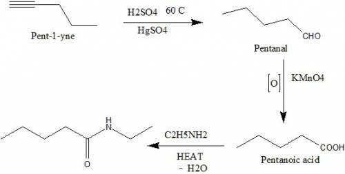 What are the steps that 1-pentyne goes through to become n-ethyl pentanamide?