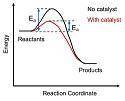 How does a catalyst work?  by increasing the temperature of a chemical reaction by decreasing the pr
