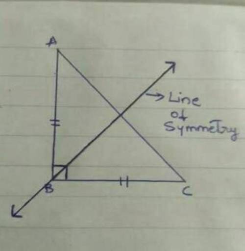 Straight angle has how many lines of symmetry