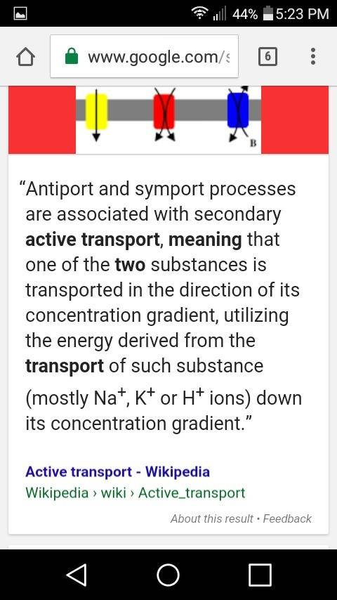 Describe two main types of active transport.