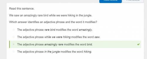 Read this sentence. we saw an amazingly rare bird while we were hiking in the jungle.  which answer
