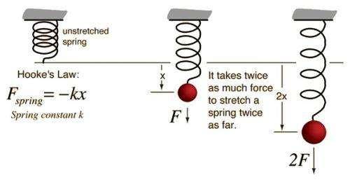 In hooke's law, f spring = k (triangle) x , what does the k stand for?  a. the amount of force actin