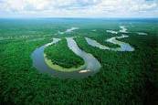 Why might people outside of latin america want to preserve the amazon basin ?