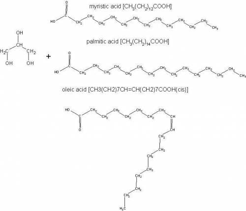 Draw a triacylglycerol (triglyceride) made from glycerol, myristic acid [ch3(ch2)12cooh], palmitic a