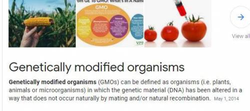 What are organisms that have been genetically engineered a. genetic adapted organisms  b. genetic mo