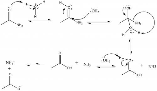 Is the acid-catalyzed hydrolysis of acetamide a reversible or an irreversible reaction?