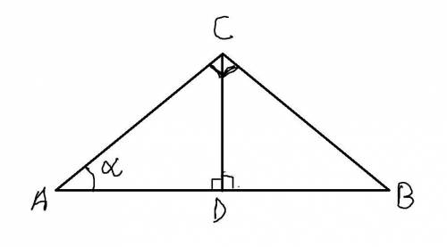 In triangle δabc, ∠c is a right angle and cd is the height to ab. find the angles in δcbd and δcad i