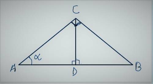 In triangle δabc, ∠c is a right angle and cd is the height to  ab. find the angles in δcbd and δcad