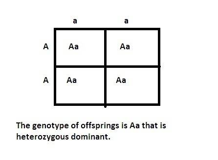 Start with the p generation with the following genotypes (aa x aa). based on classical mendelian inh