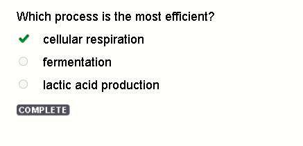 Which is the most efficient form of cellular respiration? a.aerobic respirationb.anaerobic respirati