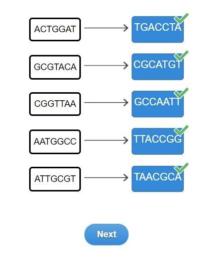 A-c-t-g-g-a-t rewrite the sequence to show a substitution of a nucleotide in the dna strand.