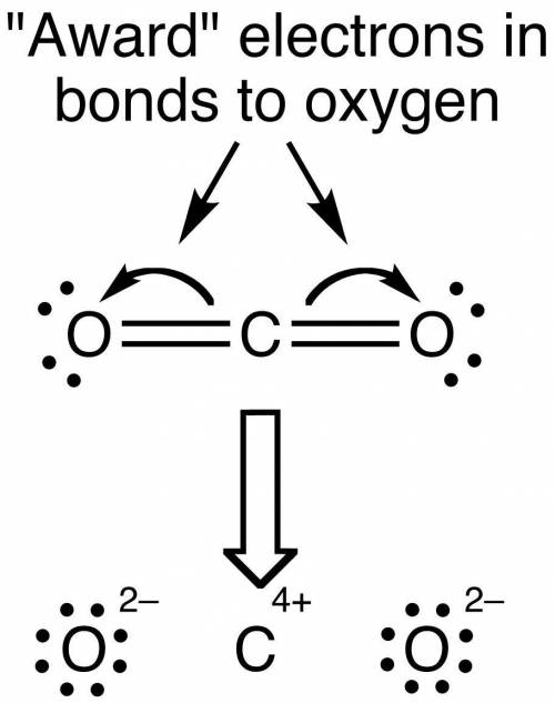 What is the correct lewis structure for co2?  a) a b) b c) c d) d