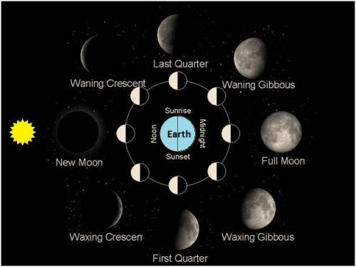 Which of the following contributes to the phases of the moon as seen from earth?  the moon orbiting