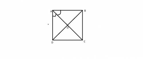 Statements are true of all squares?  select three options. group of answer choices the diagonals are