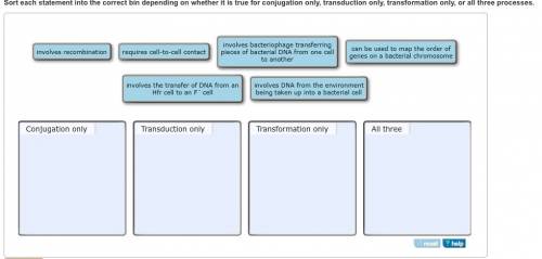 Sort each statement into the correct bin depending on whether it is true for conjugation only, trans