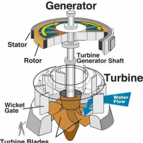 What parts are found in an electric generator?  check all that apply