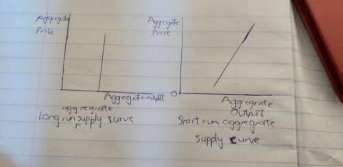 The labels for the axes of an aggregate supply curve should be:  a. real domestic output for the ver