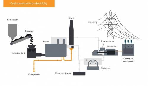 How does a coal-fired power plant use the energy in coal to produce electricity?