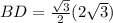 BD=\frac{\sqrt{3}}{2}(2\sqrt{3})