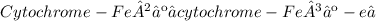 Cytochrome-Fe²⁺ ⇄ cytochrome-Fe³⁺-e⁻