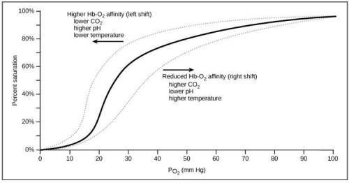 At a po₂ of 70 mm hg and normal temperature and ph, hemoglobin is % saturated with oxygen. at a po₂