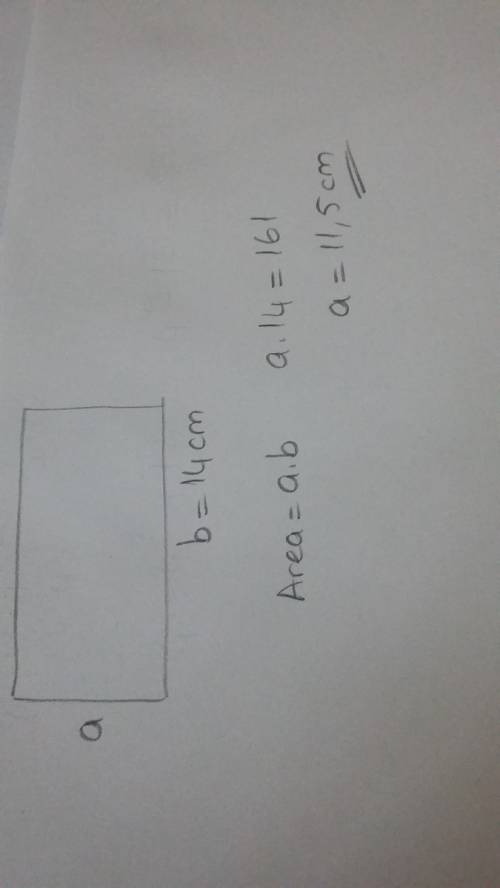 What is yhe withd of a rectangle with lenth of 14 cm and area 161cm squared