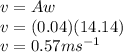 v = A w\\v = (0.04) (14.14)\\v = 0.57 ms^{-1}