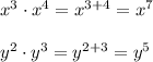 x^3\cdot x^4=x^{3+4}=x^7\\ \\y^2\cdot y^3=y^{2+3}=y^5