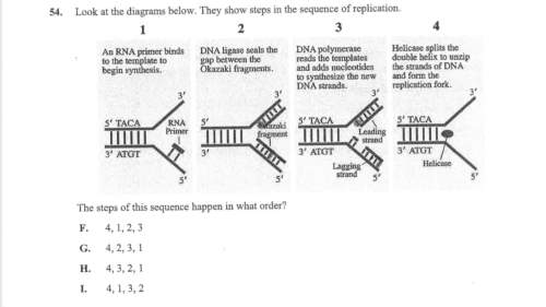Can someone me with this multiple choice question? (biology)