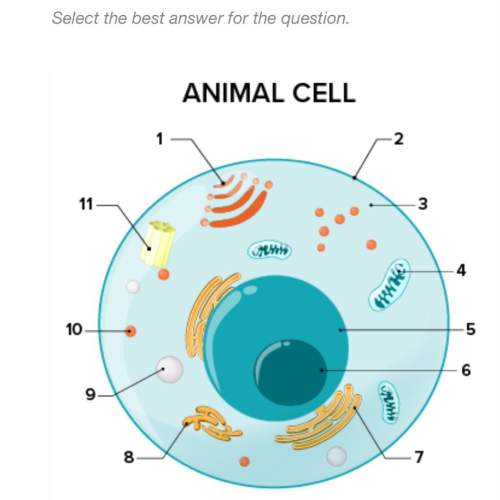7. what part of the cell does 9 represent? a. ribosome b. centrosome c. lysosome d. cytoplasm